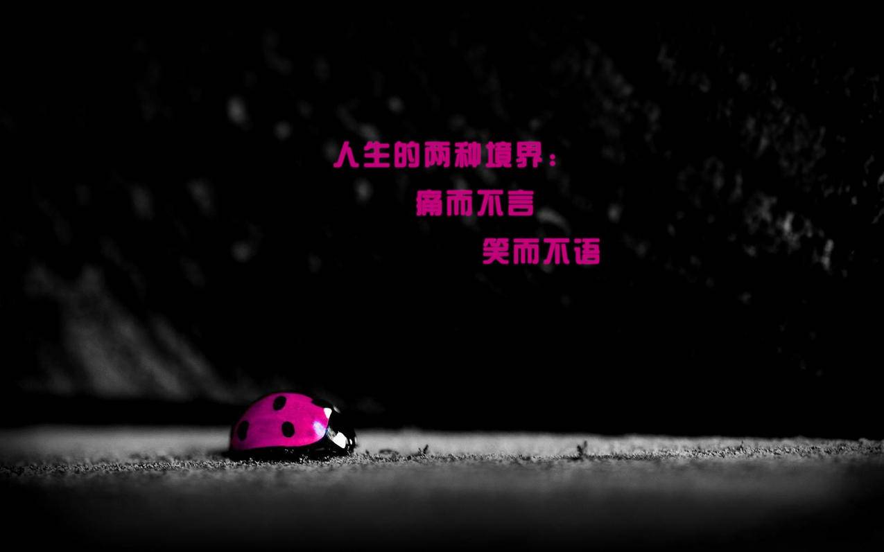厘米秀刷鲜花-秒赞-斗鱼刷粉丝